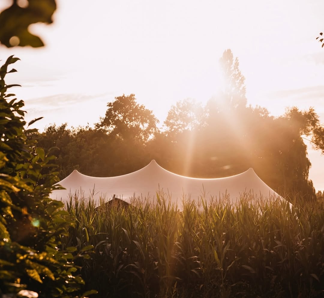 De tent in het gouden avondlicht